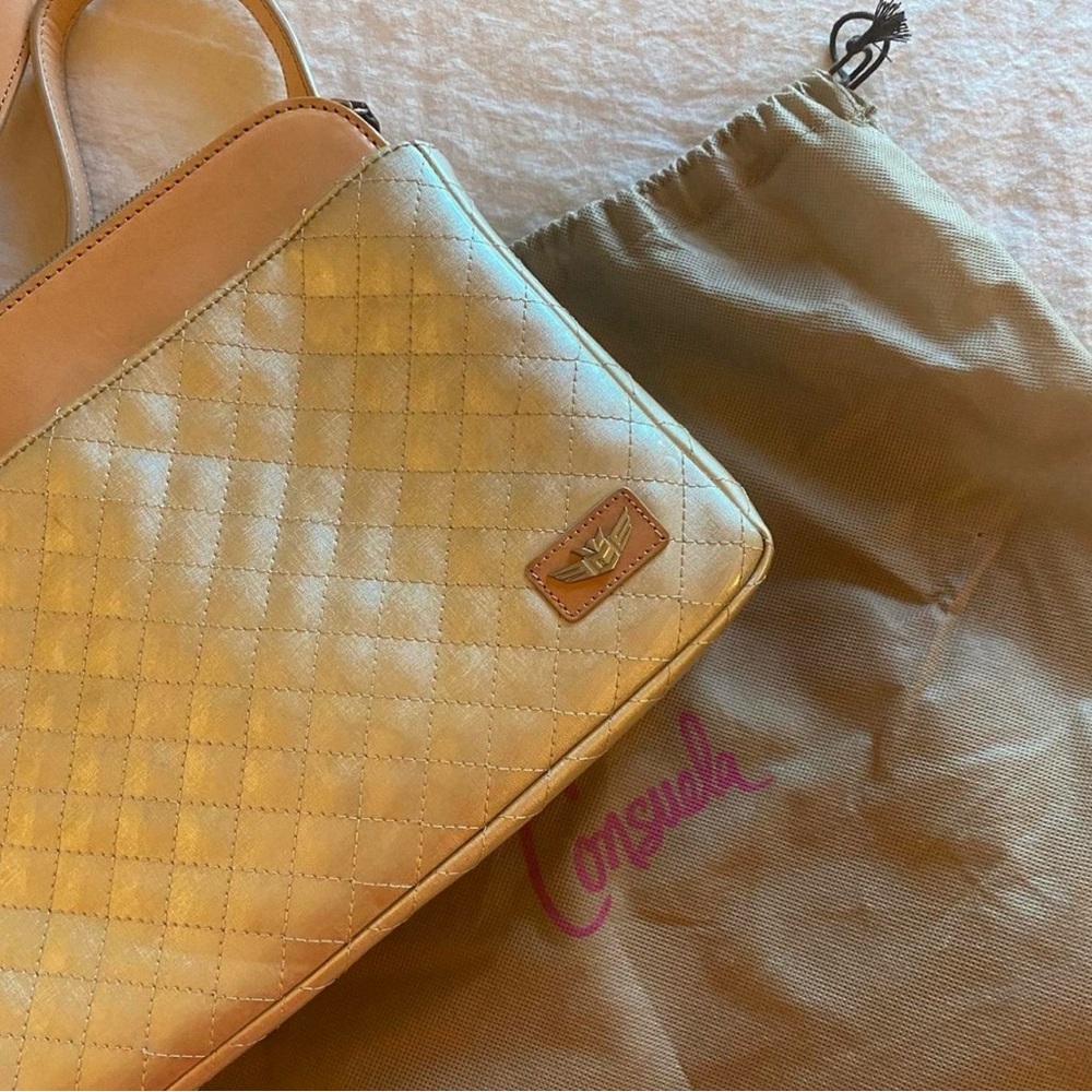 Beautiful Medium sized Consuela bag